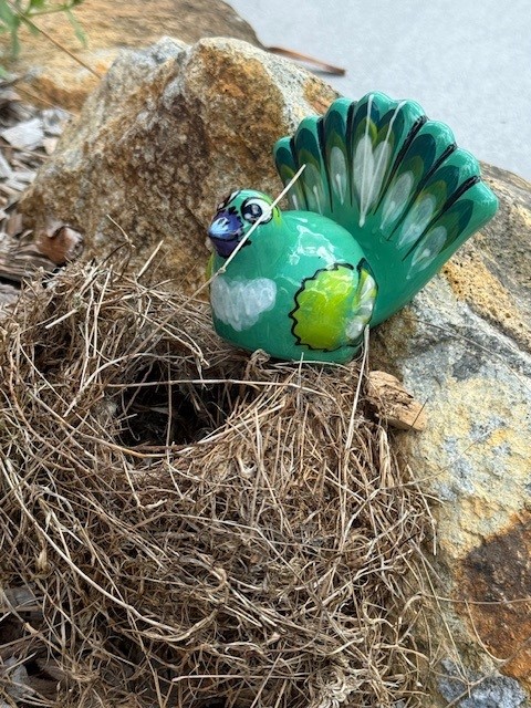 images/RS FANTAIL.jpg